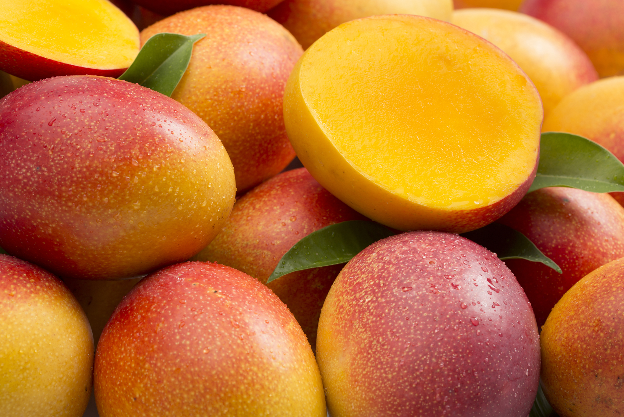 Mango and Stone Fruits Distributors